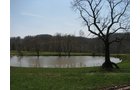 Property photo 40 - 137 Acres in 2 Tracts - 64 Tillable Acres, Potential Building Sites, Hunting